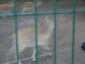 IMGP1217.JPG